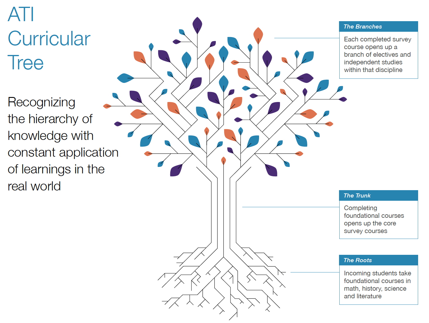 Guidepost Academy Austin Curricular Tree